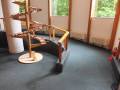館内スロープ。
急なスロープですので、1人では危険です。じゅうたん素材なので進みにくいです。