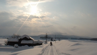 雪原の写真