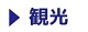 観光