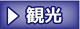観光