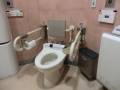 便器両側に手すりがあります。トイレットペーパーも両側に付いてます。