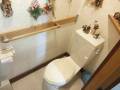 トイレの入口開口幅は56cmです。全体入口幅は73cmです。便器座って右手側に手すりがあります。車いすでの利用は厳しいです。