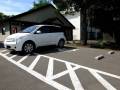 白い車の所が多目的駐車場になります。