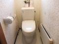 個室開口幅は55cmです。車いすで入るのは厳しいです。トイレに段差はありません。