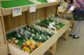 旬の野菜。
採れたて新鮮な野菜が買えます。