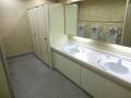 トイレ全体です。車いすの方でも入れます。