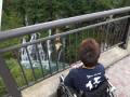白ひげの滝。車いすの方はこの写真のようにして見る事が出来ます。