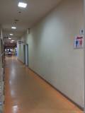 トイレまでの通路です。段差はありません。