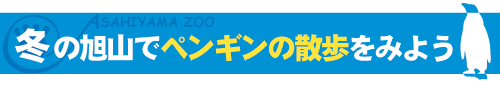 旭山動物園に行こう