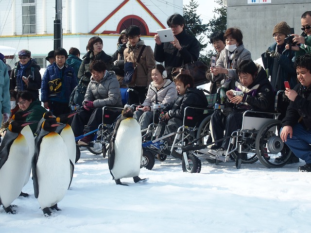 動物園観光写真